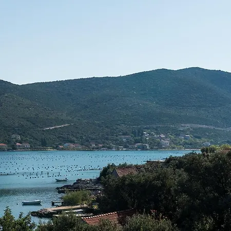 Bozovic